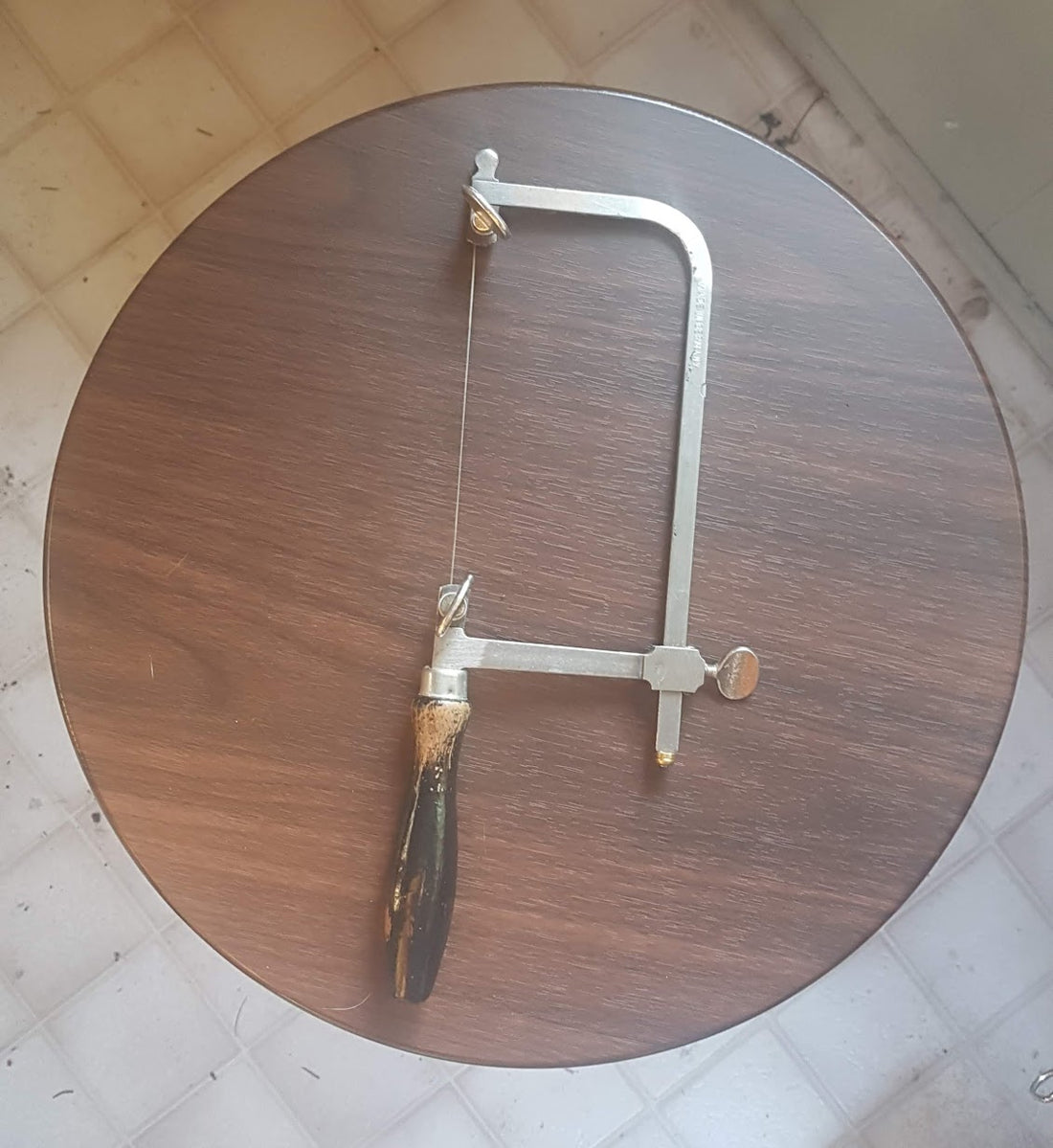 jewellers saw used by wandering moth