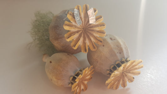 Sterling Silver Forged Arc Earrings