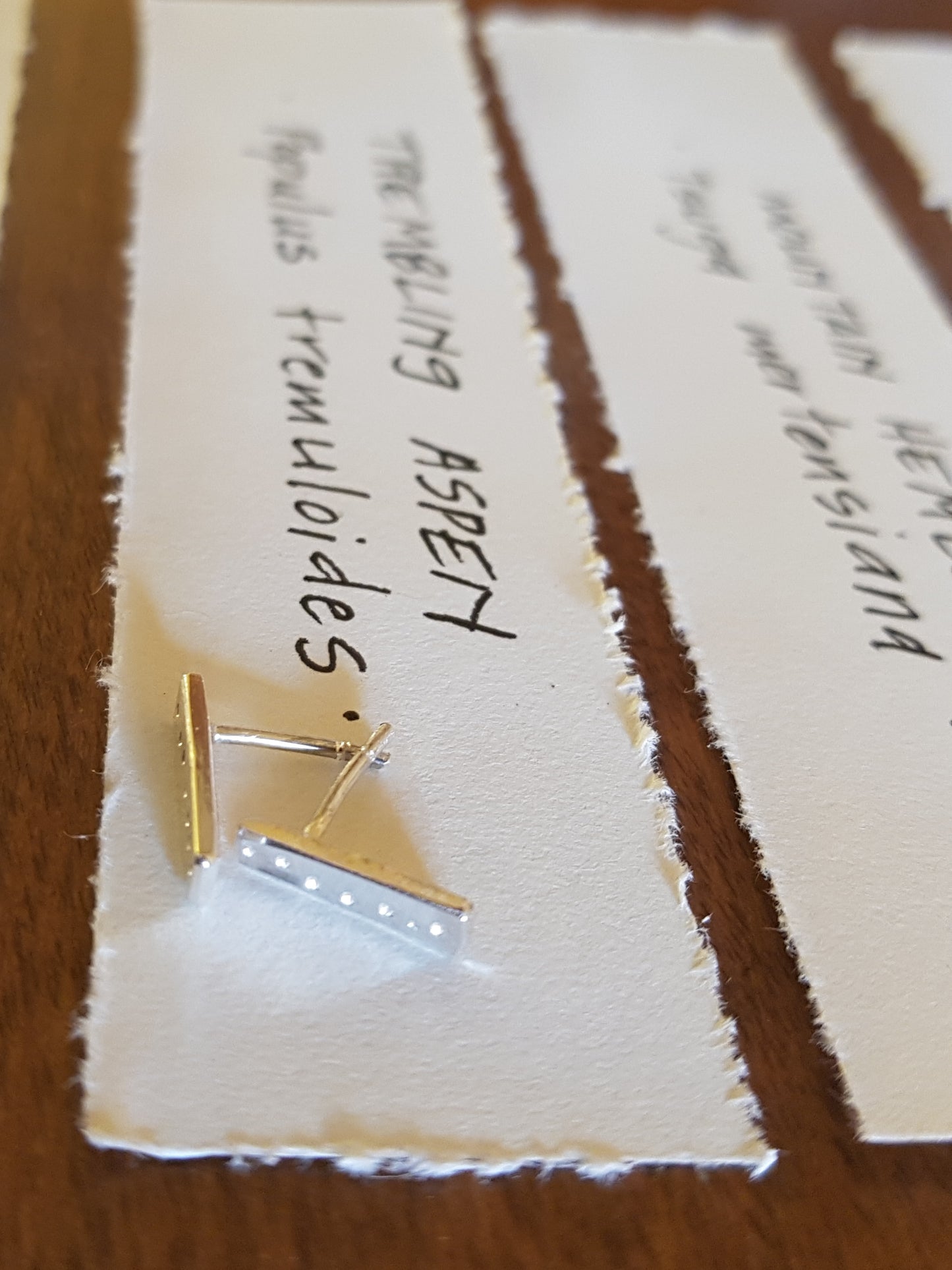 West Coast Trees Stud Earrings