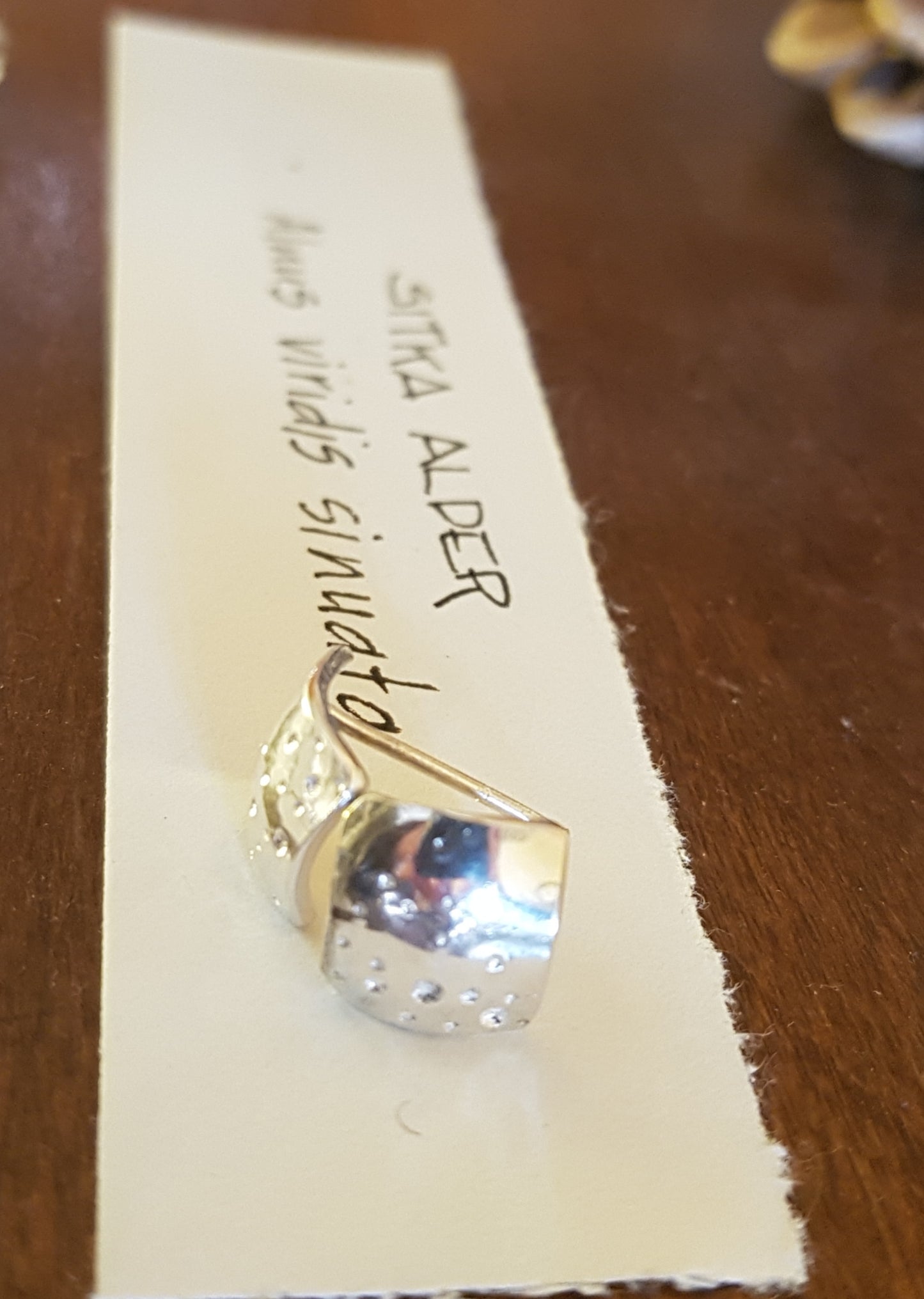 West Coast Trees Stud Earrings