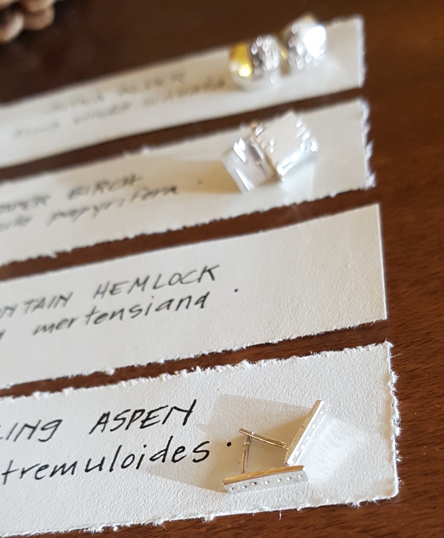 West Coast Trees Stud Earrings