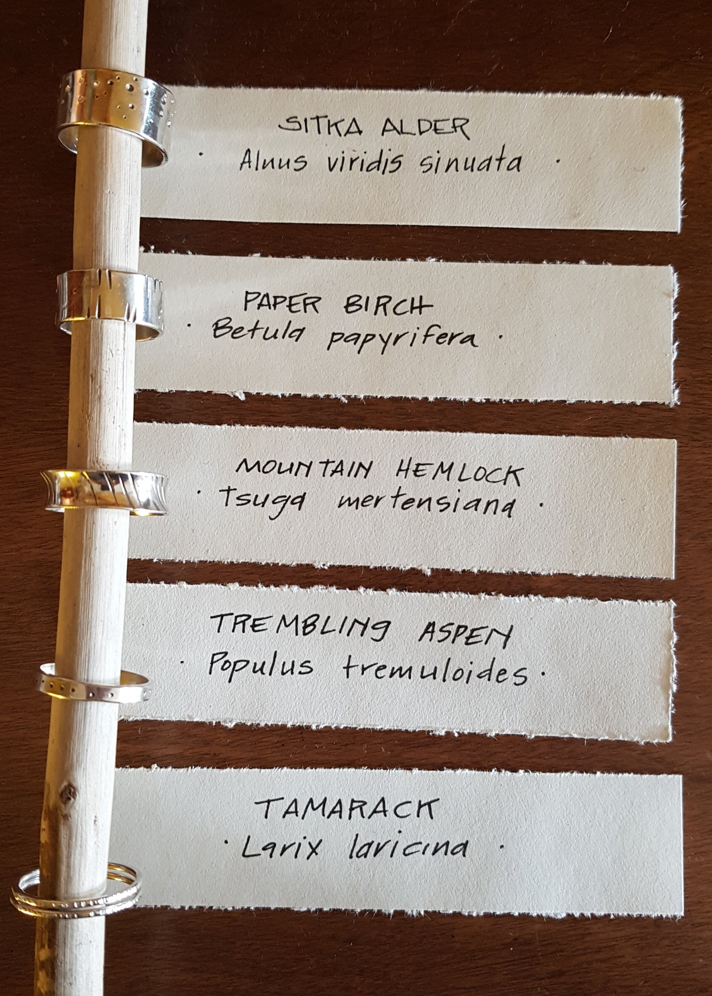 West Coast Trees Sterling Silver Rings -Thin bands