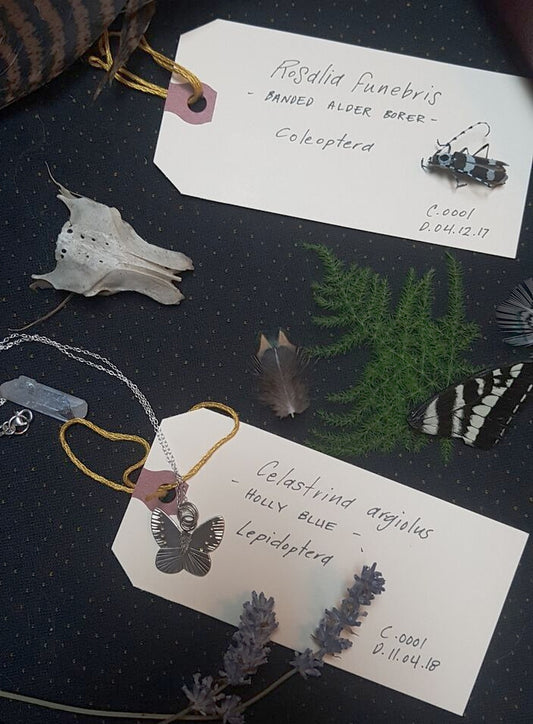 Sterling Silver Holly Blue Moth Pendant