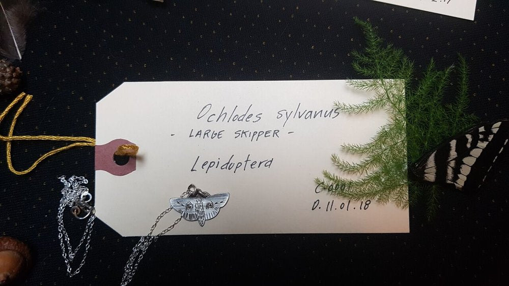 Sterling Silver Skipper Moth Pendant