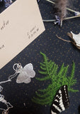 Sterling Silver Opulenta Moth Pendant